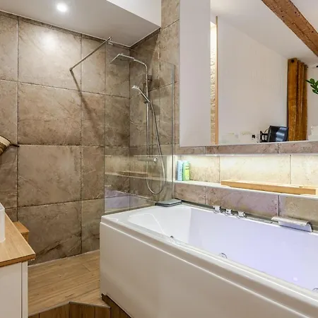 Appartement Charme Alsacien Hypercentre Cathedrale Straatsburg