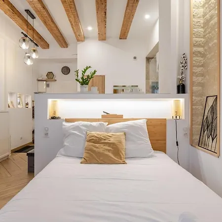 Charme Alsacien Hypercentre Cathedrale Appartement *