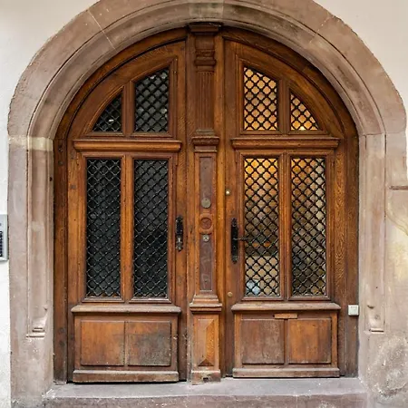 Charme Alsacien Hypercentre Cathedrale Appartement Straatsburg
