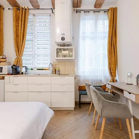 Appartement Charme Alsacien Hypercentre Cathedrale *