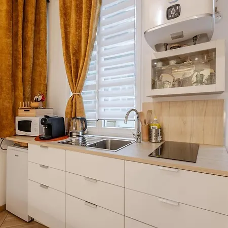 Charme Alsacien Hypercentre Cathedrale Appartement *
