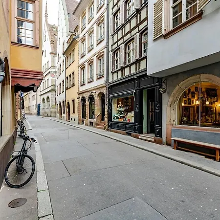 Charme Alsacien Hypercentre Cathedrale Straatsburg